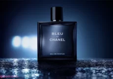 DB279 230x160 - بررسی ، انتخاب و خرید آنلاین عطر شنل بلو د شنل Chanel Bleu de Chanel