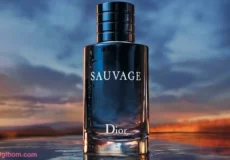DB284 230x160 - بررسی ، انتخاب و خرید آنلاین عطر دیور ساواج Dior Sauvage