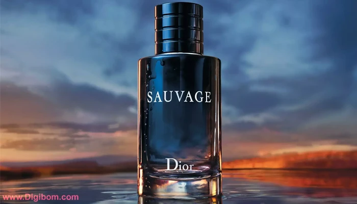 DB284 - بررسی ، انتخاب و خرید آنلاین عطر دیور ساواج Dior Sauvage