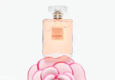 DB309 230x160 - بررسی ، انتخاب و خرید آنلاین عطر شنل کوکو مادمازل Chanel Coco Mademoiselle