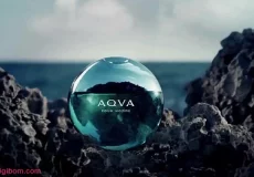 DB342 230x160 - بررسی ، انتخاب و خرید آنلاین عطر بولگاری آکوا پور هوم Bvlgari Aqva Pour Homme