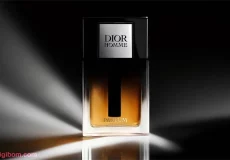 DB350 230x160 - بررسی ، انتخاب و خرید آنلاین عطر دیور هوم پرفیوم Dior Homme Parfum