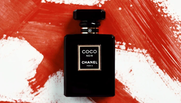 بررسی ، انتخاب و خرید آنلاین عطر شنل کوکو نویر Chanel Coco Noir DB384 - بررسی ، انتخاب و خرید آنلاین عطر شنل کوکو نویر Chanel Coco Noir